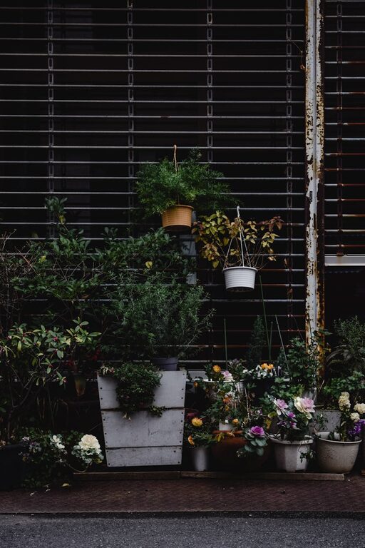 Consejos prácticos para crear un jardín urbano en espacios pequeños